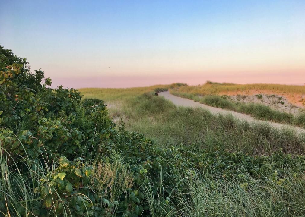 #46. Massachusetts